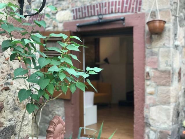 Apartamento Büdinger Hof Weinheim Exterior foto